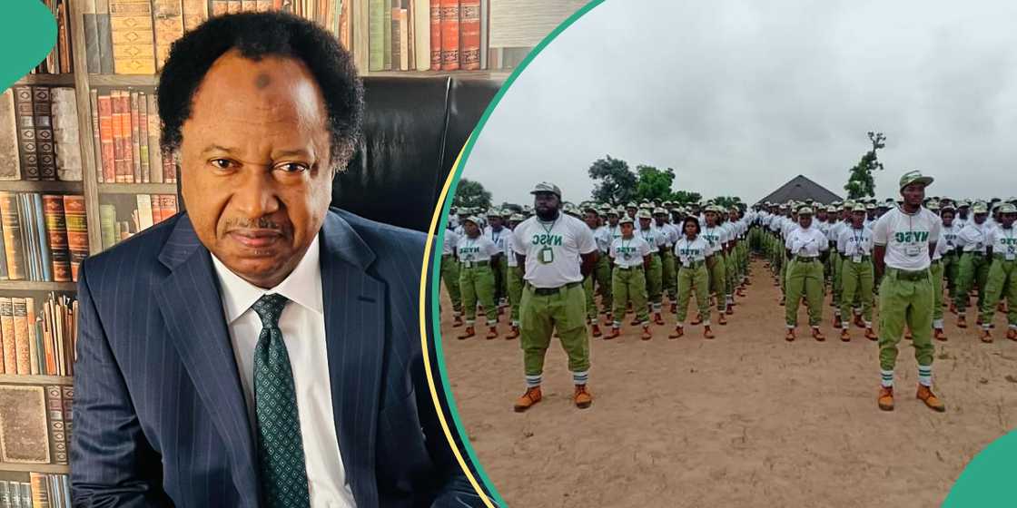 This fake is a good fake: Shehu Sani reacts to NYSC statement on paying corps members N70,000