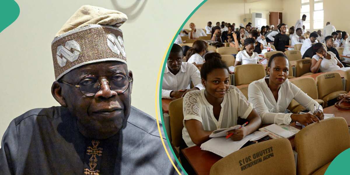 Tinubu's Student Loan Scheme: Juicy Facts About New Law