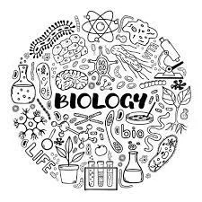 Biology Lesson Note For SS1 (Second Term) 2024