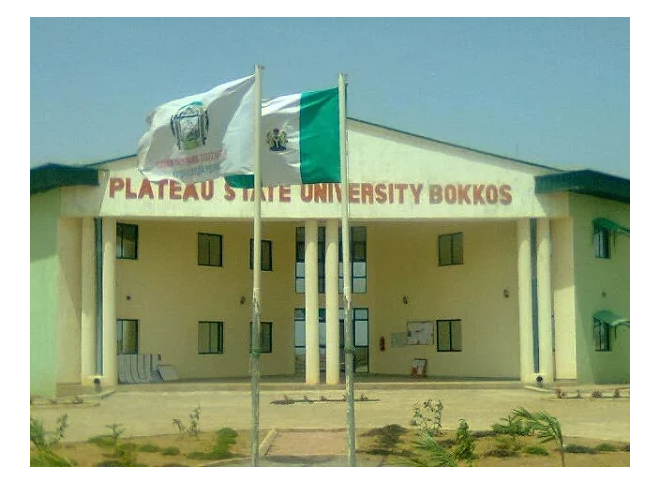 Gunmen kidnap PLASU ASUU chairman