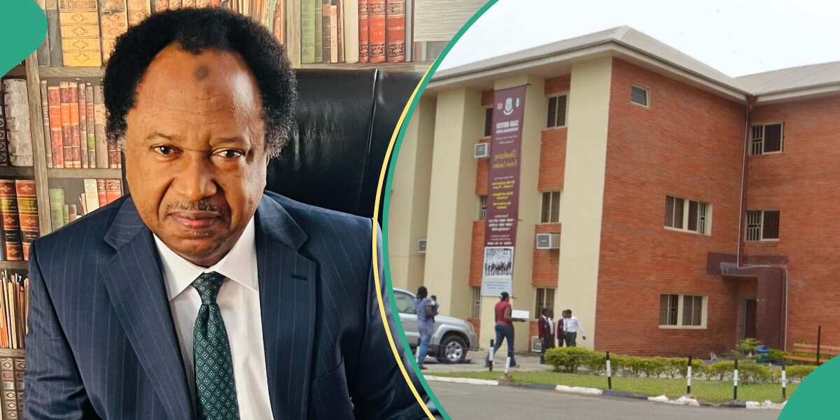 Lead British School: Shehu Sani discloses why private schools tolerate bullying among students