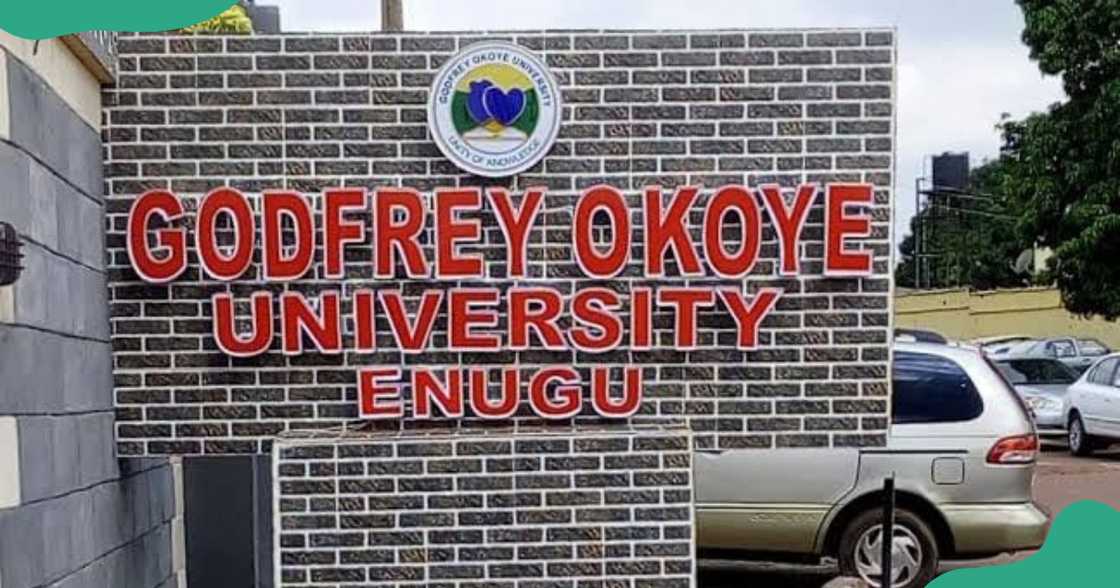 Godfrey Okoye University, Urgwuomu- Nike