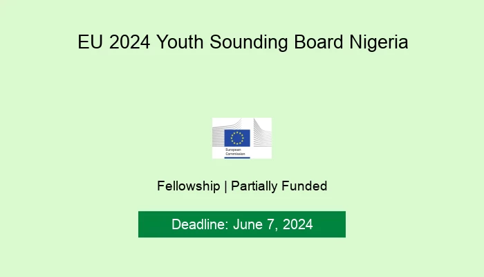 EU 2024 Youth Sounding Board Nig