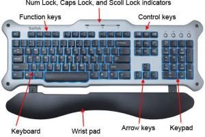 Input and Output Devices Differences Examples Functions 1