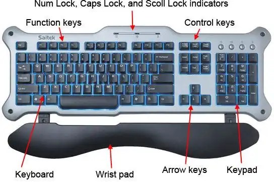 Input And Output Devices: Differences, Examples & Functions