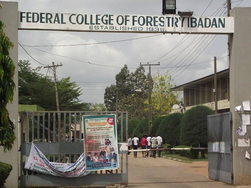 FCFIBADAN Admission List