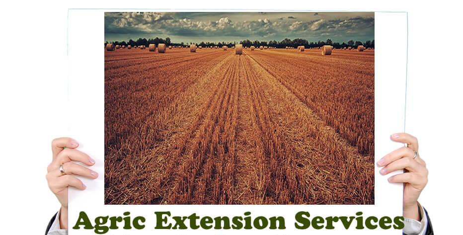 OLevel And JAMB Subject Combination for Studying Agric Extension Service