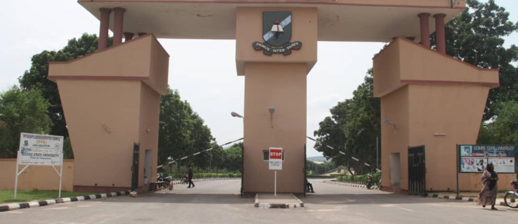 GSU Postgraduate Part Time Admission List 2024/2025 Academic Session – How To Check