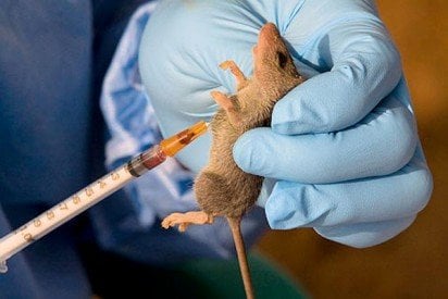 Lassa Fever Fact Sheet & How to Prevent the Spread