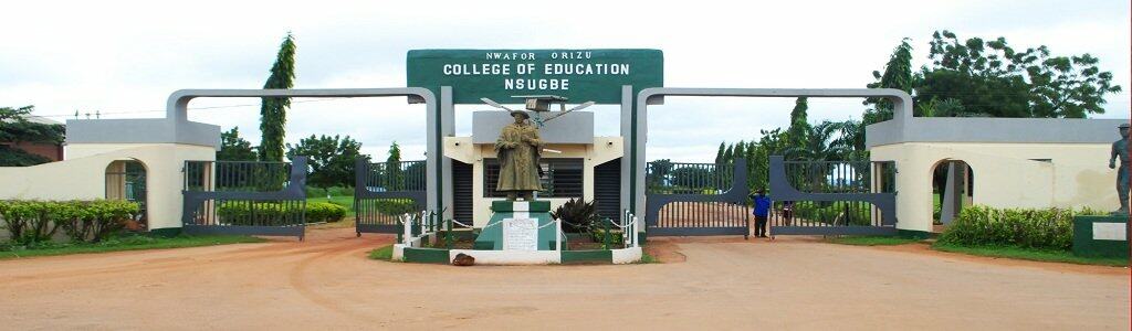 Nwafor Orizu College of Education School Fees 2018/2019