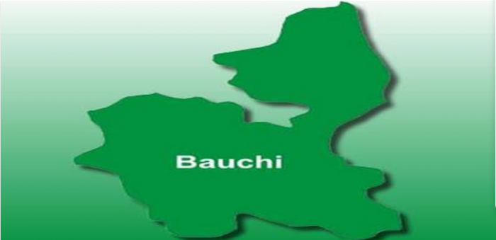 Bauchi state earmarks N400 million for digital education