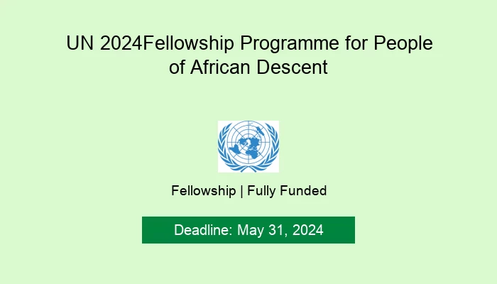 UN 2024 Fellowship Programme for People of African Descen