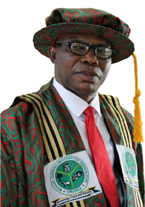 MOUAU immediate past vice-chancellor dies in a car crash